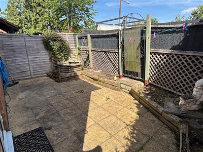 Picture 11